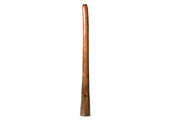 Tristan O'Meara Didgeridoo (TM433)